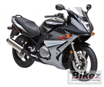 2011 Suzuki GS500F photo